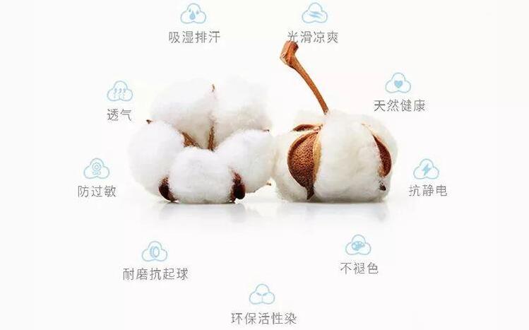 新疆長絨棉